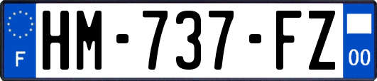 HM-737-FZ