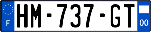 HM-737-GT