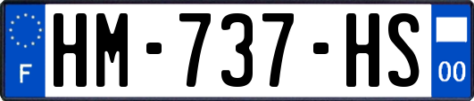 HM-737-HS