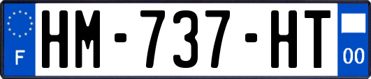 HM-737-HT