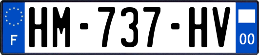 HM-737-HV