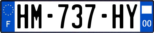 HM-737-HY