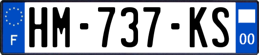 HM-737-KS