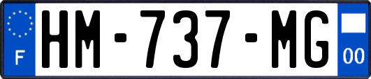 HM-737-MG