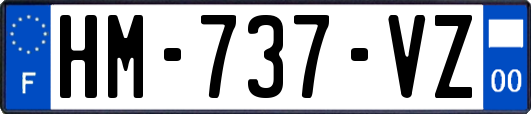 HM-737-VZ