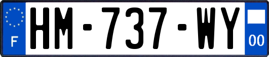 HM-737-WY