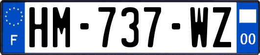 HM-737-WZ