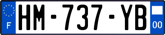 HM-737-YB