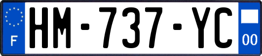 HM-737-YC