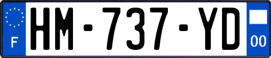HM-737-YD
