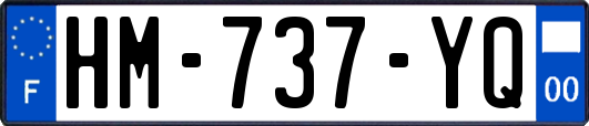 HM-737-YQ
