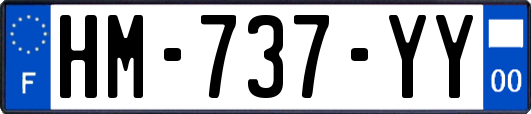 HM-737-YY