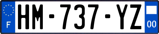 HM-737-YZ