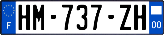HM-737-ZH