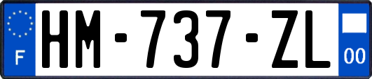 HM-737-ZL