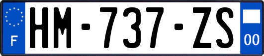 HM-737-ZS