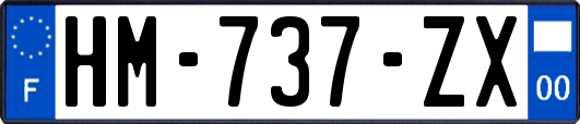 HM-737-ZX