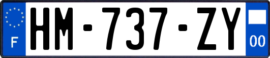 HM-737-ZY