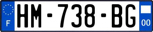 HM-738-BG