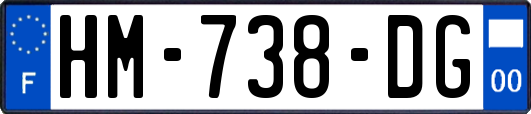 HM-738-DG