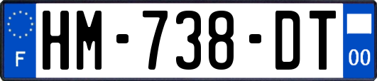 HM-738-DT