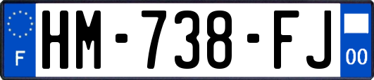 HM-738-FJ