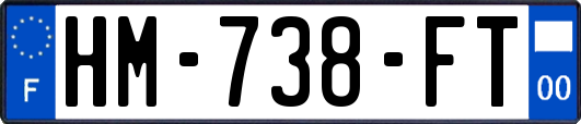 HM-738-FT