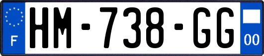 HM-738-GG