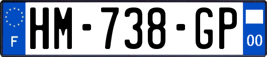 HM-738-GP