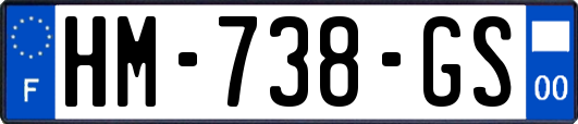 HM-738-GS