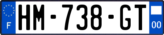 HM-738-GT