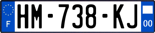 HM-738-KJ