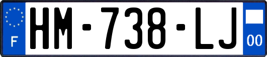 HM-738-LJ