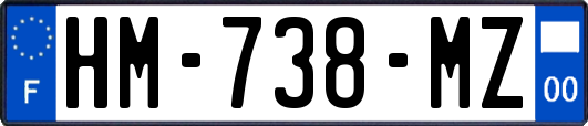 HM-738-MZ