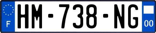 HM-738-NG