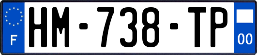 HM-738-TP