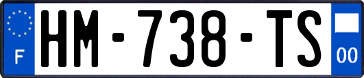 HM-738-TS