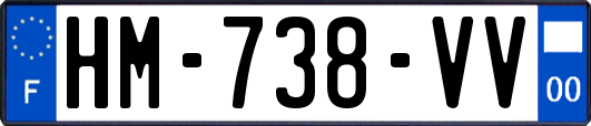 HM-738-VV
