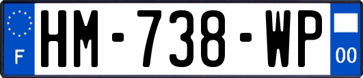 HM-738-WP
