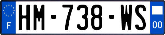 HM-738-WS