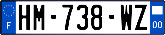 HM-738-WZ