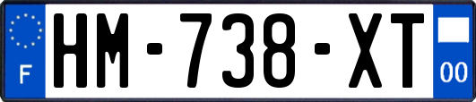 HM-738-XT