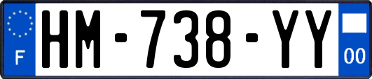 HM-738-YY
