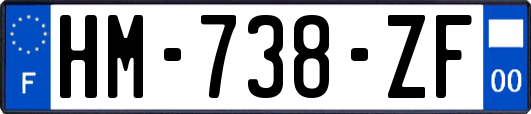 HM-738-ZF