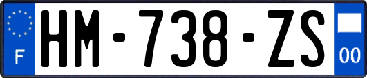 HM-738-ZS