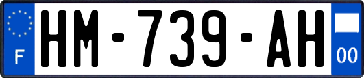 HM-739-AH