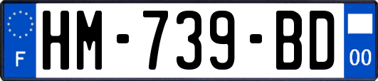HM-739-BD