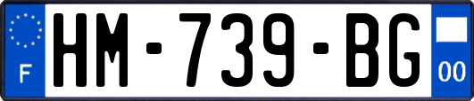 HM-739-BG