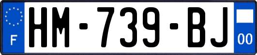 HM-739-BJ