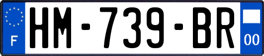 HM-739-BR